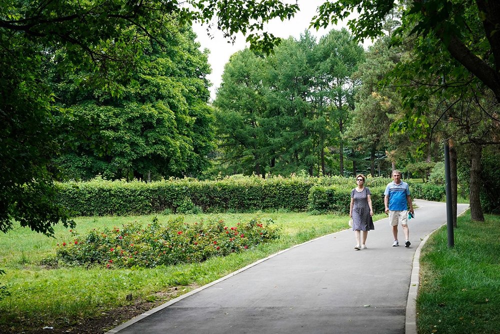 Опрос показал, что жителям городов сегодня не хватает света и зелени