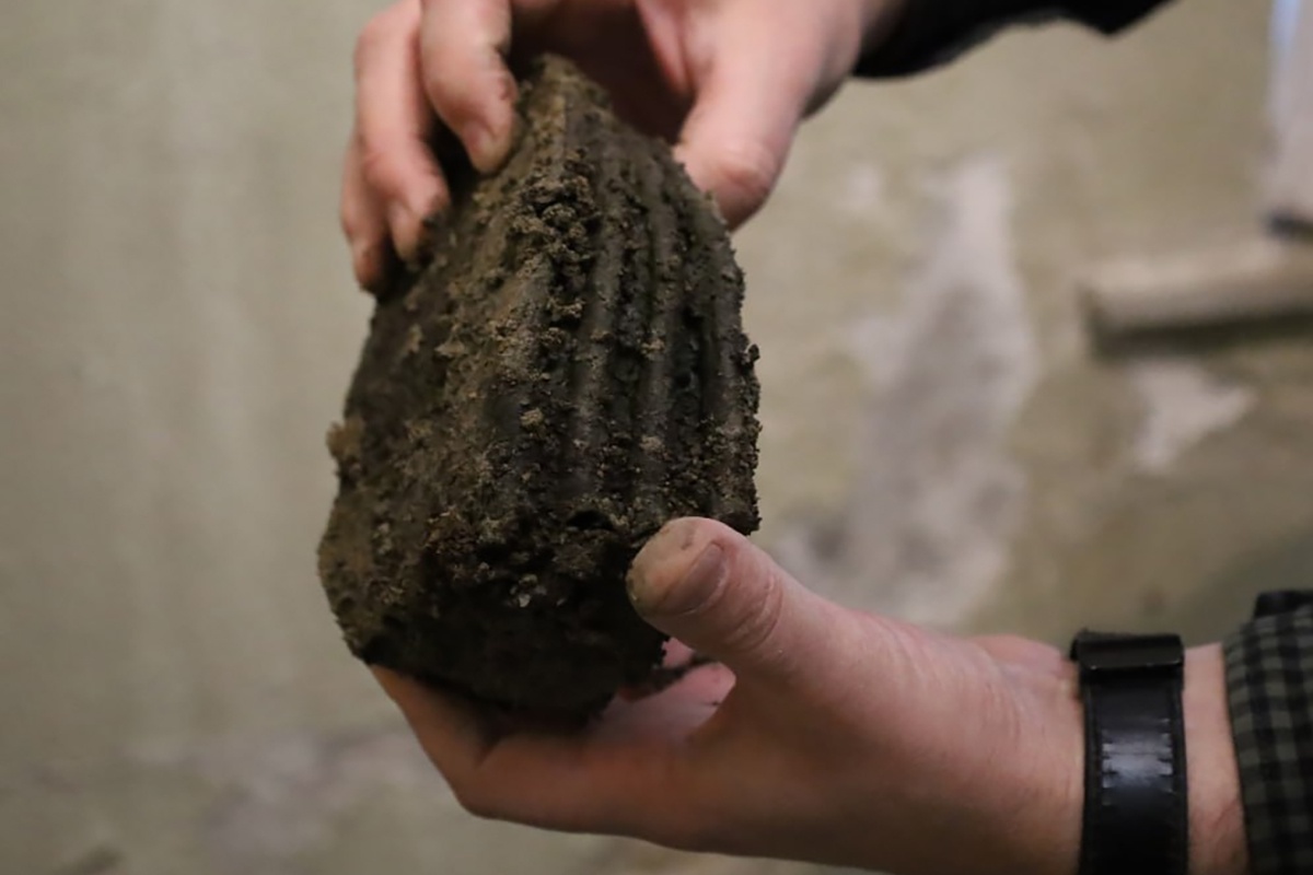 Останки принадлежат шерстистому носорогу. Останки принадлежат шерстистому носорогу.