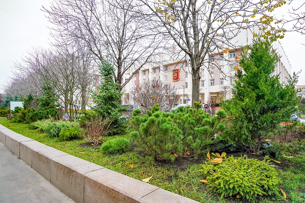 В Москве высадят около 1,3 тысячи деревьев в рамках благоустройства