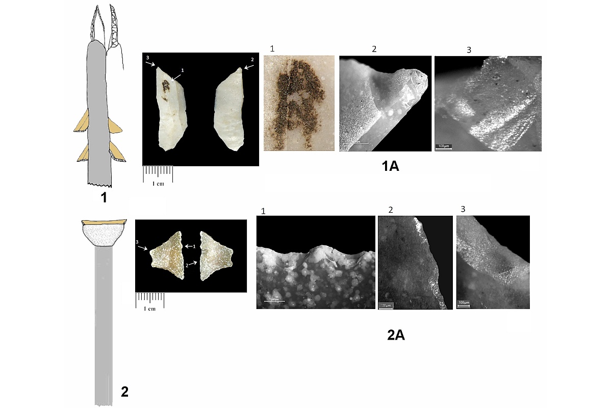 Древние жители Кавказа создавали сложные орудия для охоты и разделки мяса из простых каменных пластинок.