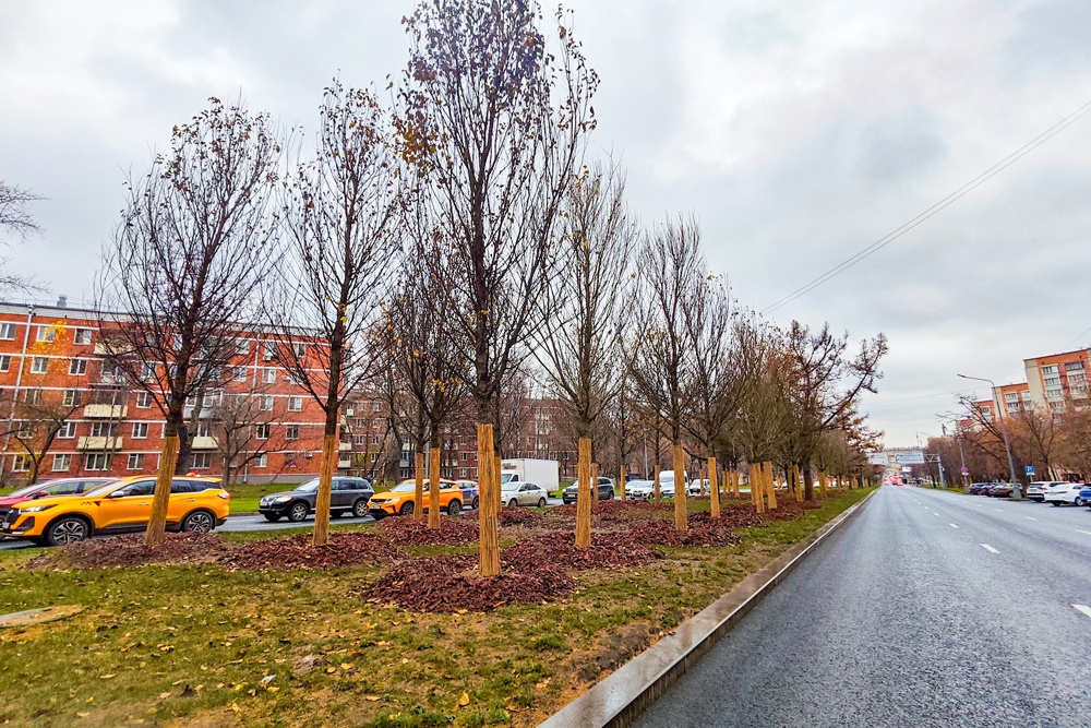 Профсоюзная улица и проспект 60-летия Октября в Москве станут зелеными