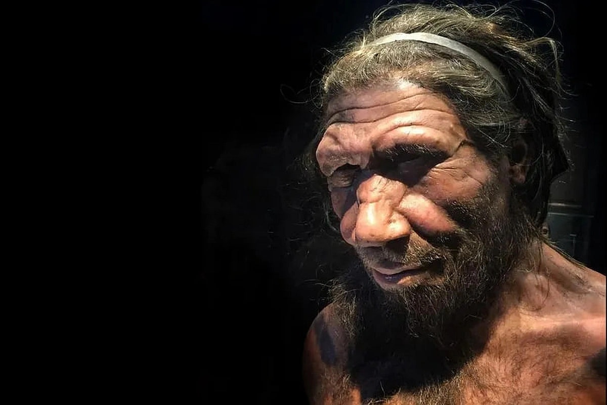 Авторы исследования доказали, что строение неандертальцев фактически не отличалось от других видов, например, Homo sapiens. 