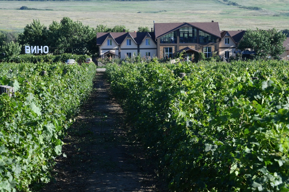 Для небольших виноделен строительство шато - жизненная необходимость. 