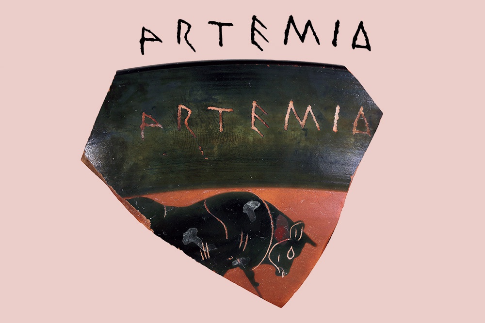 Многие экспонаты показывают впервые. 