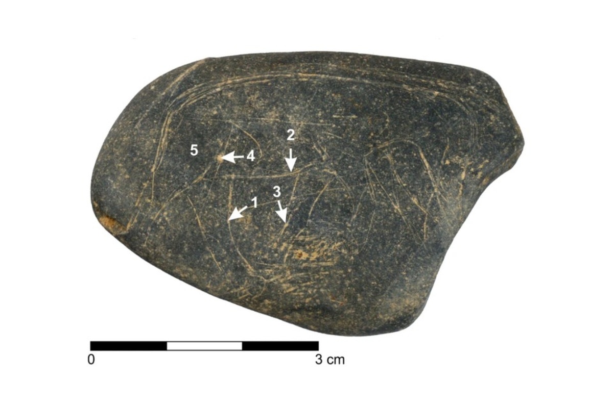 На одной из сторон гальки предположительно изображена лошадь, а поверх нее, по-видимому, мамонт.