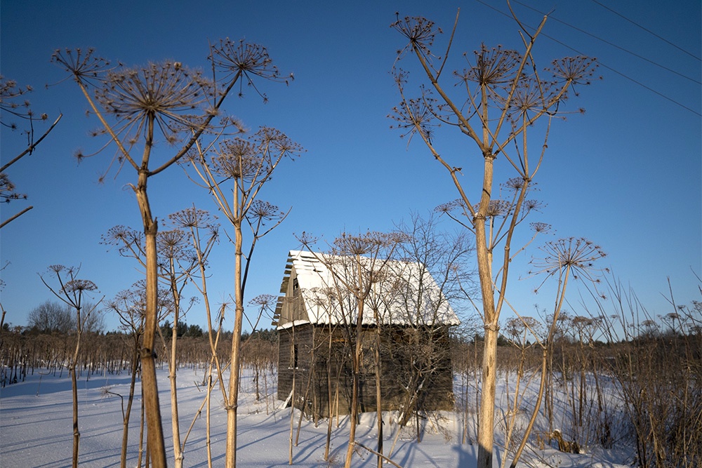От бдительного "взгляда" нейроинспектора заросшая борщевиком земля точно не укроется.