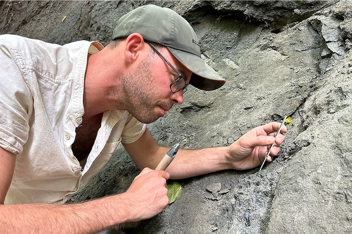 Доктор Габор Ботфальвай исследует кости динозавров в раскопе.