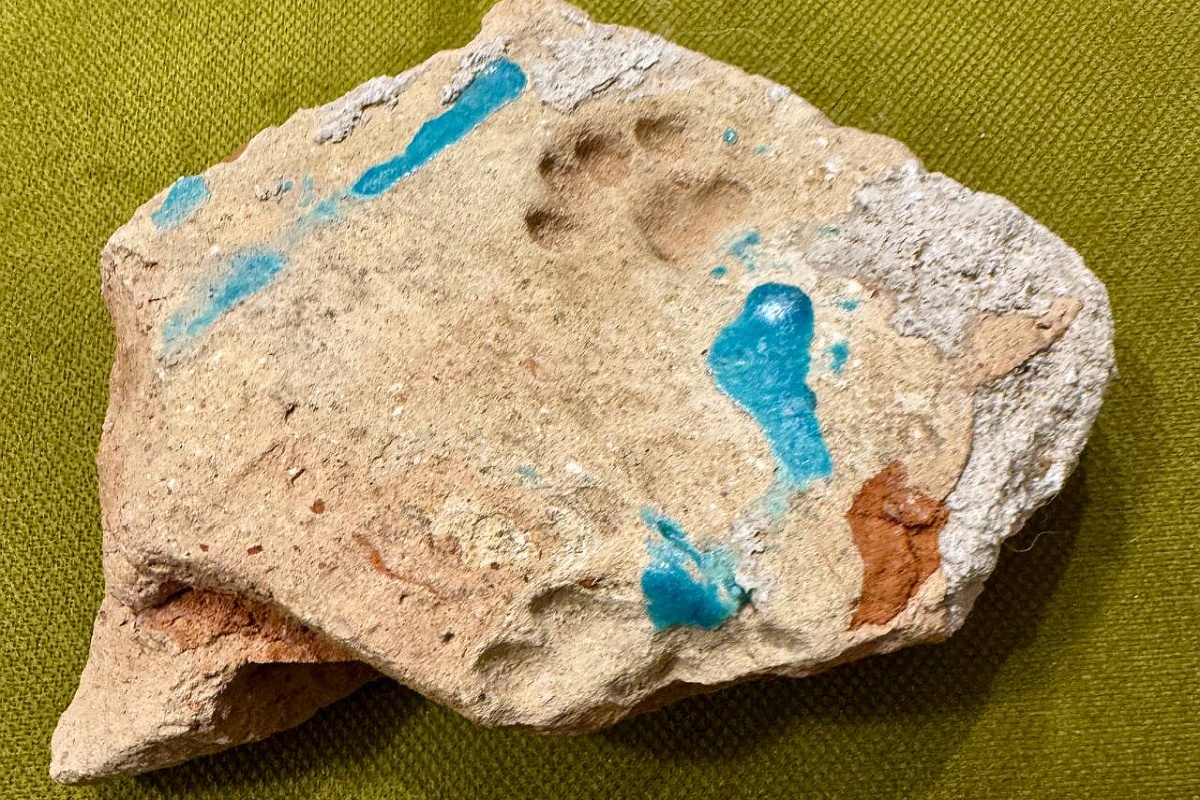 След кошачьей лапы на древнем изразце. След кошачьей лапы на древнем изразце.