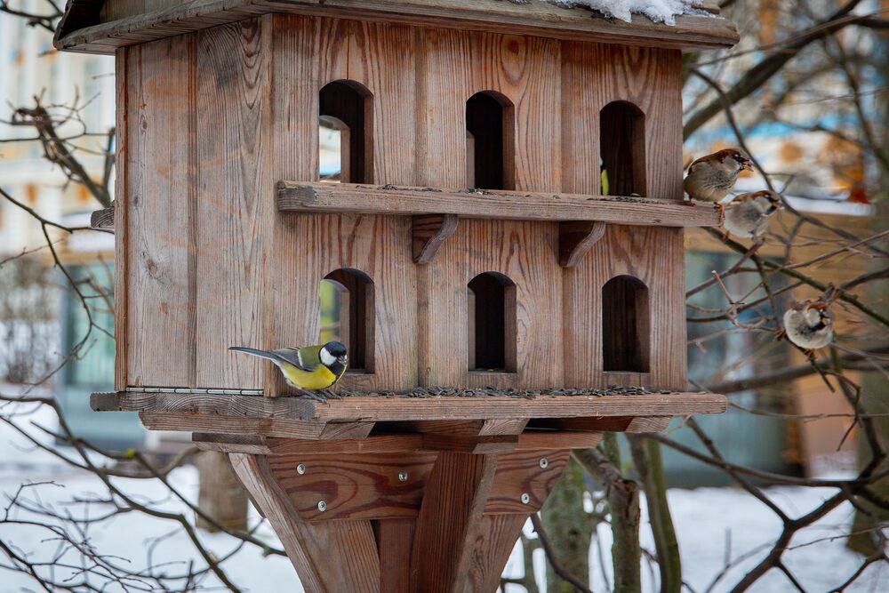 Самая красивая кормушка для птиц находится в Екатерининском парке. 
