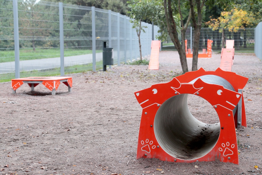 Насколько соответствуют ГОСТу столичные собачьи площадки