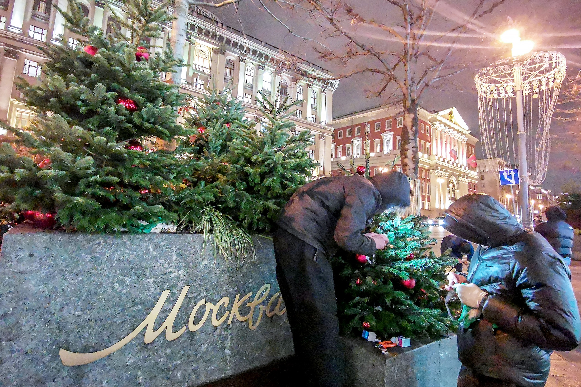 Новогодние композиции из живых деревьев уже украсили главную улицу Москвы - Тверскую.