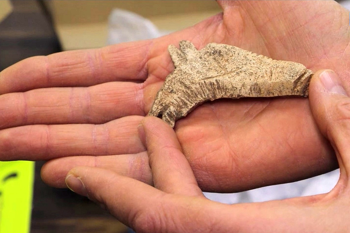 С одной стороны - просто изображение лошади в конской упряжи, а с другой - лось.