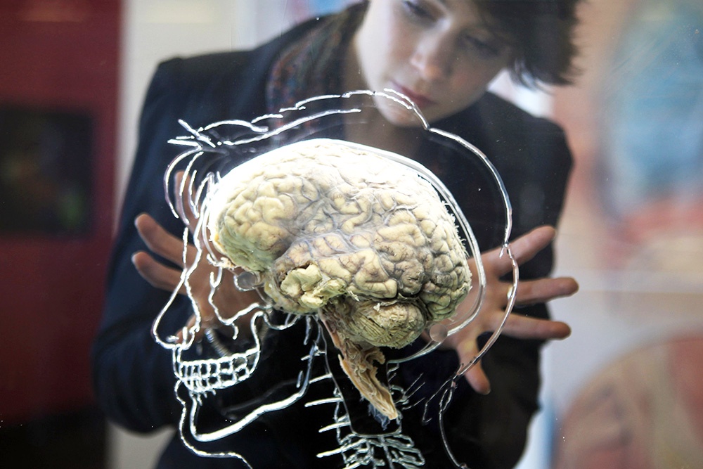 Сон - ключевое условие для здорового долголетия, так как он защищает наш мозг от дегенеративных заболеваний.