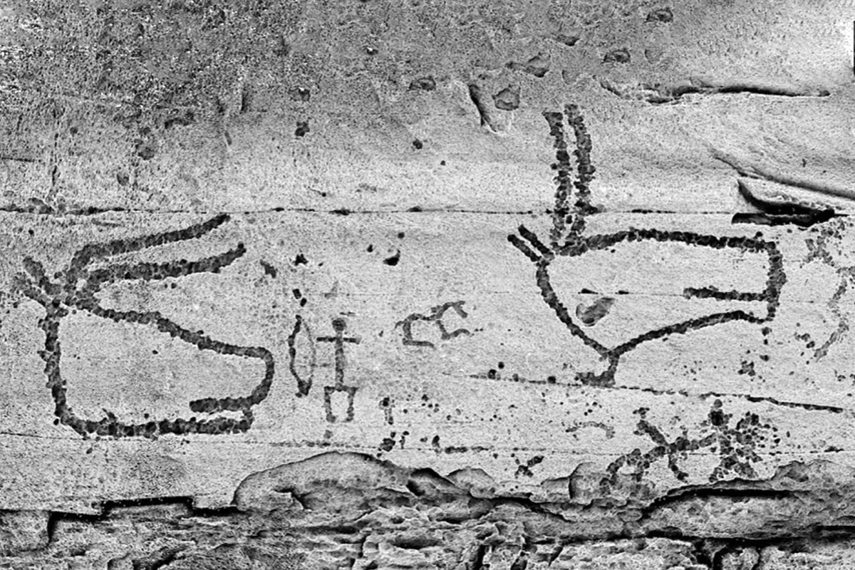  Изображения отрубленных голов быков в наскальной живописи бронзового века окуневской культуры.