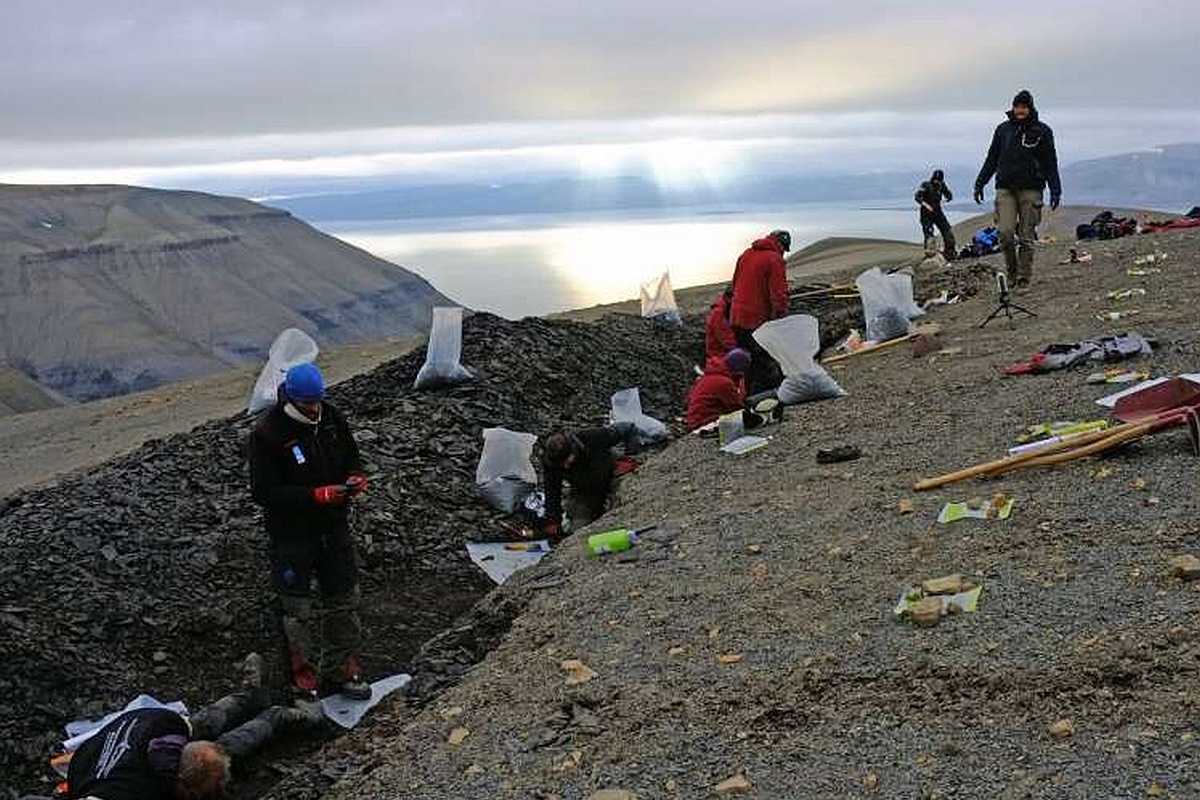 Ученые откопали более 30 тысяч окаменелых фрагментов древних морских обитателей.