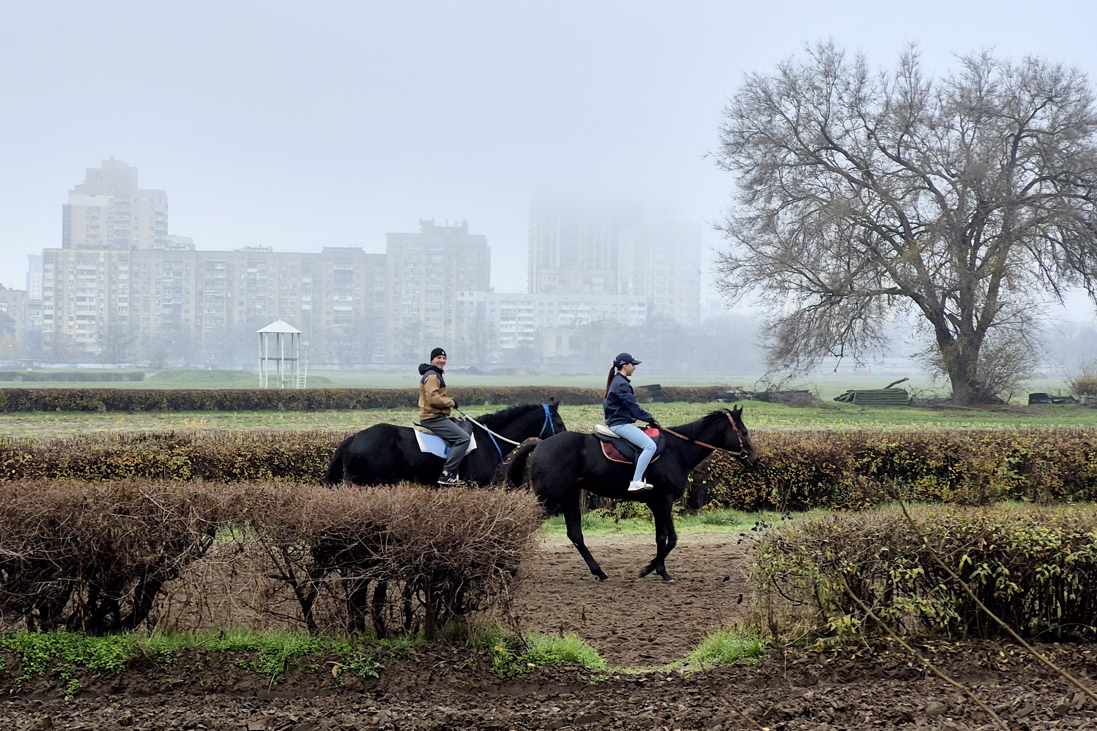 Вокруг ипподрома, словно символ неотвратимости урбанизации, возвышаются разномастные жилые многоэтажки