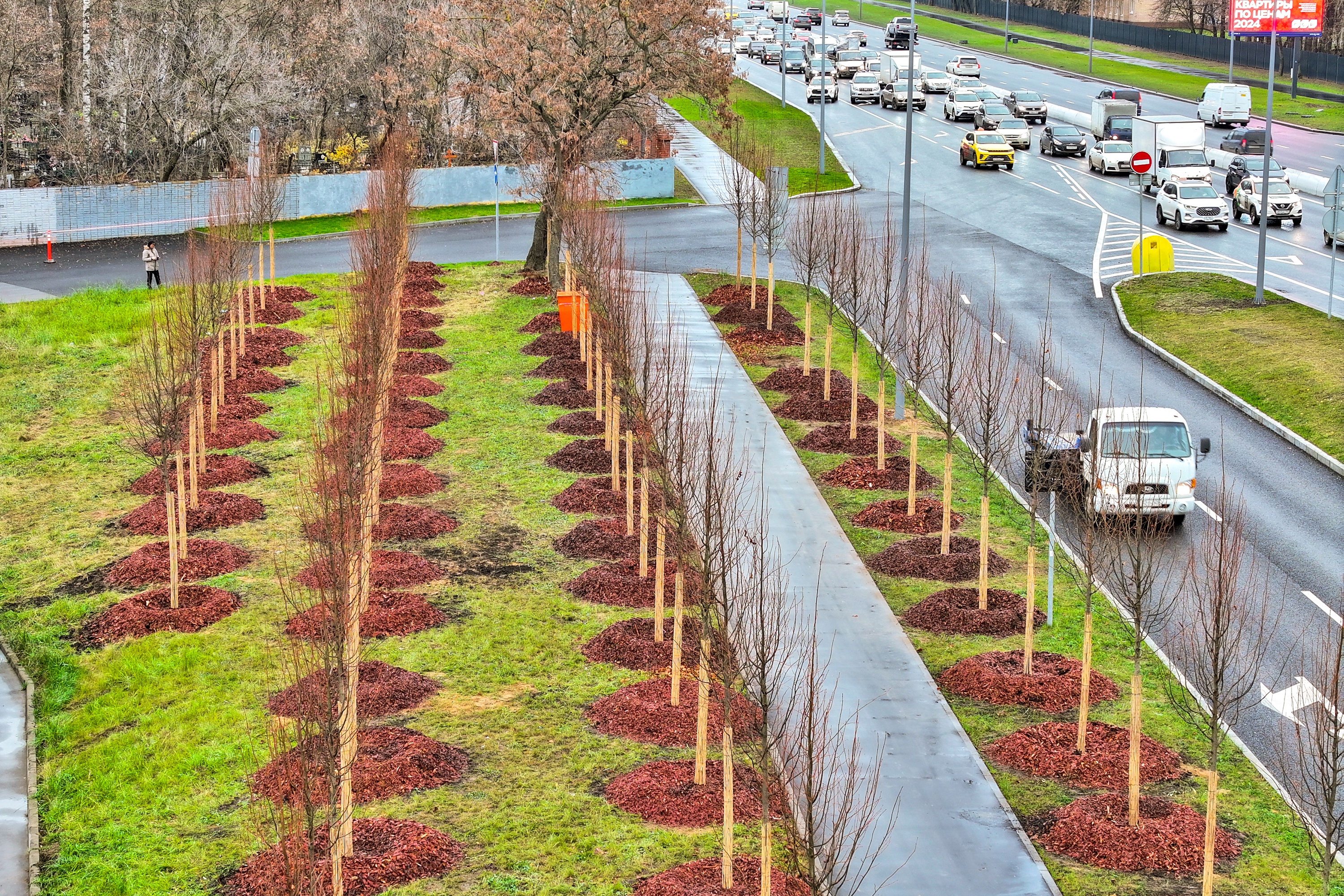Деревья подбираются с учетом их способности адаптироваться к сложным условиям мегаполиса.