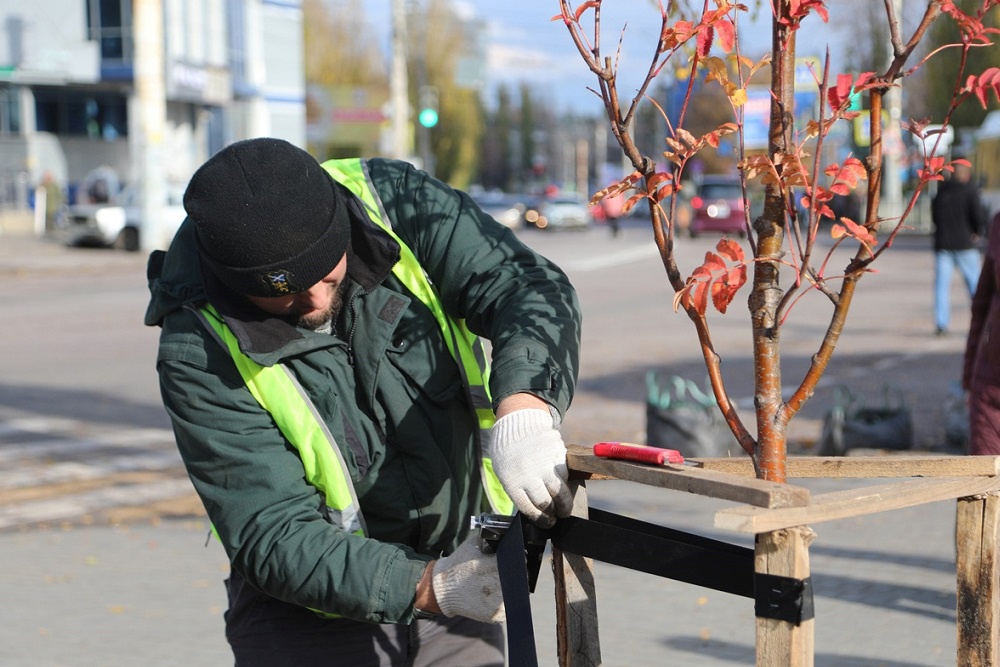 Значительная часть растений не прижилась.