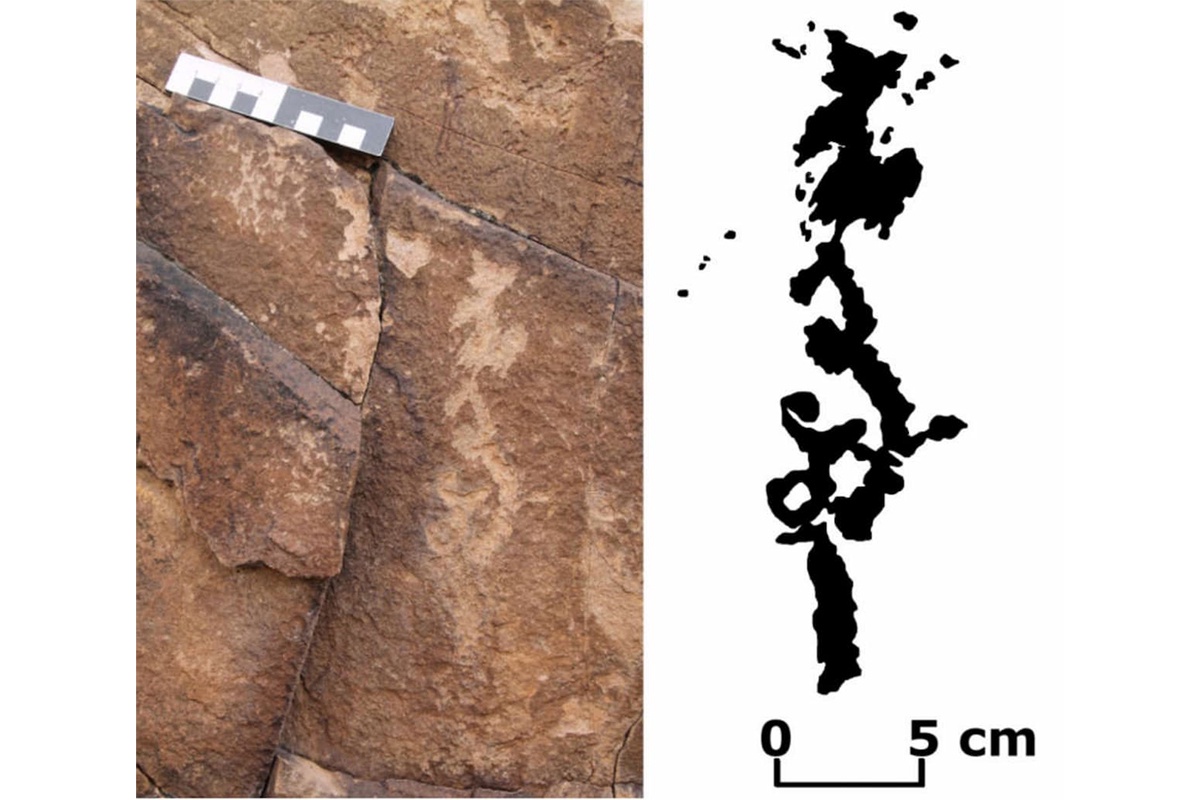 Группа международных исследователей зафиксировала 77 гравированных плит, там 593 петроглифов.