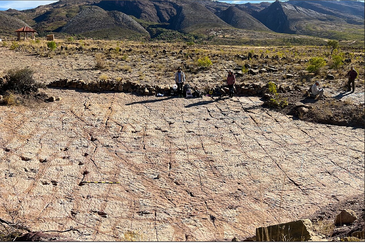 На плато Каррерас-Пампа ученые обнаружили около 18 000 следов динозавров. На плато Каррерас-Пампа ученые обнаружили около 18 000 следов динозавров.