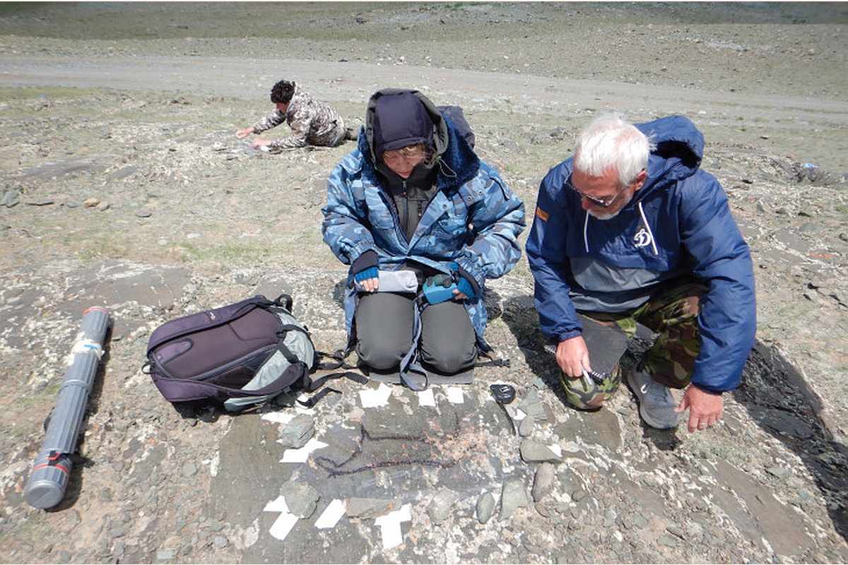Таких древних наскальных рисунках на открытых поверхностях в мировой практике ранее не было.