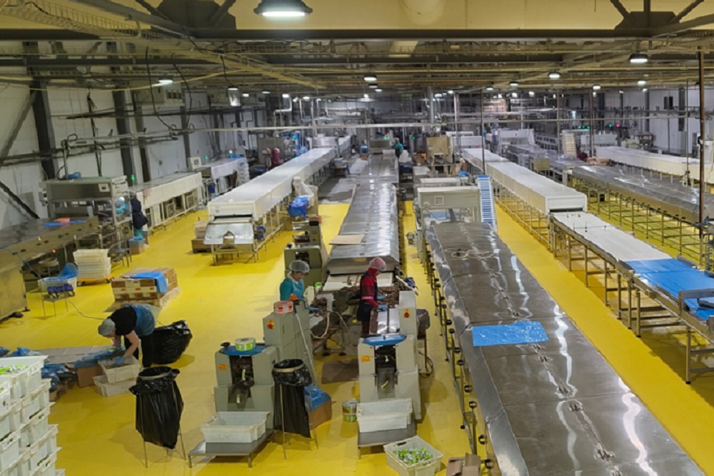 После ухода зарубежных компаний российские производители шоколада нарастили мощности.