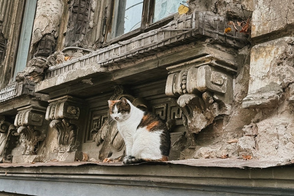 Сейчас комплексу требуется реставрация.