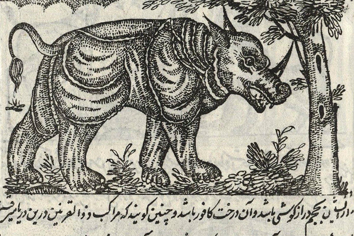 Автор знал о существовании носорогов. Автор знал о существовании носорогов.