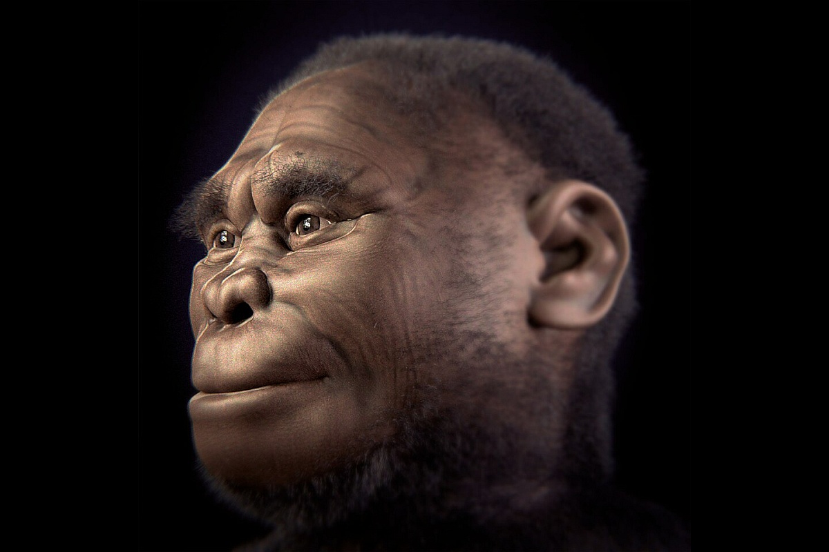 Реконструкция облика Homo floresiensis.