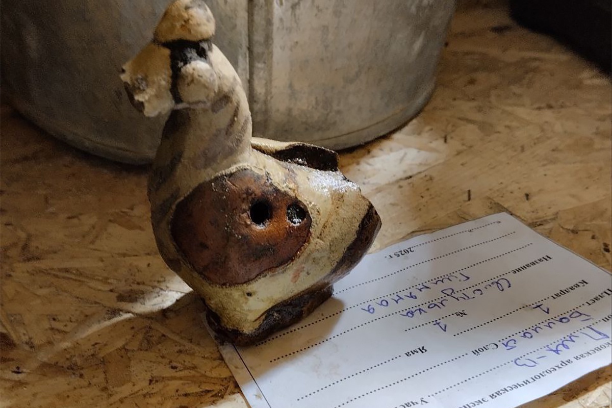 Кто-то считает, что это утка, а кто-то уверен, что гусь, глухарь или петушок. Словом, предположений достаточно. 