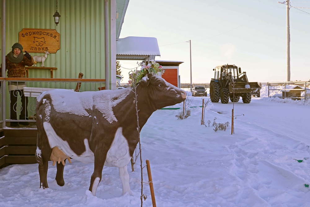 Село живет благодаря фермерам: они обеспечивают земляков работой, открывают в деревнях магазины, поддерживают школы и ФАПы, чистят дороги от снега.