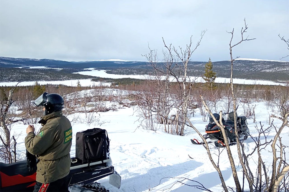 Волонтеры взяли на себя охрану Симбозерского заказника, граничащего с нацпарком "Хибины". Волонтеры взяли на себя охрану Симбозерского заказника, граничащего с нацпарком "Хибины".