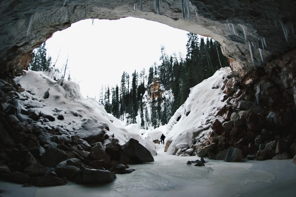 В Архангельской области гости Пинежского заповедника смогут впервые официально "проникнуть" на ранее закрытые территории