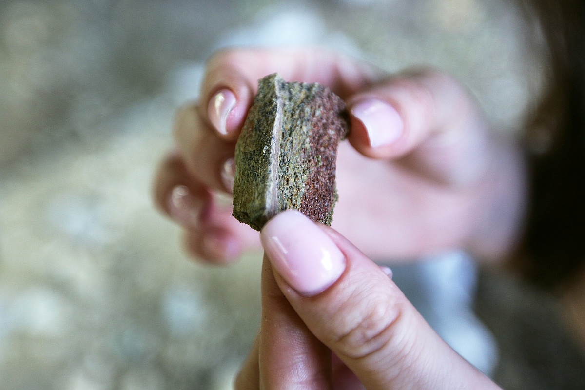 Фрагмент кости скелета динозавра.