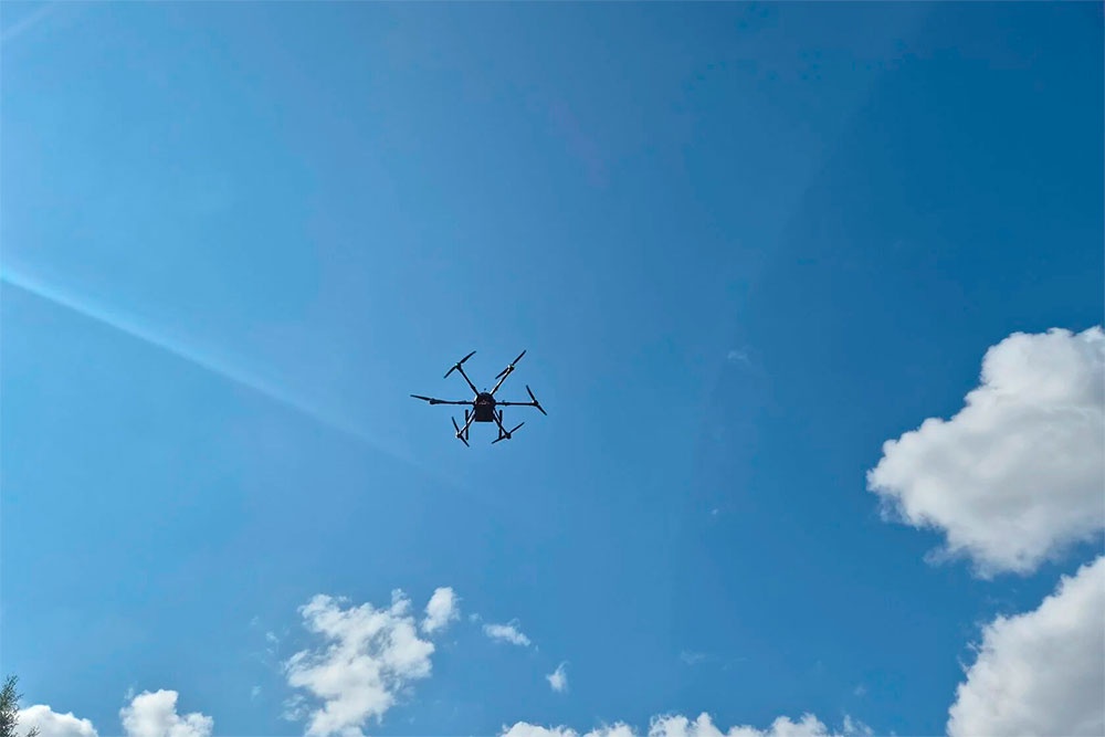  "Чёрный коршун 6"