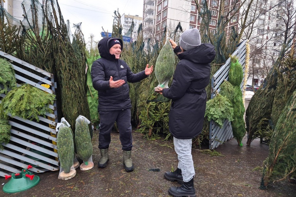 На елочных базарах москвичи выбирают не только деревья от 100 до 200 см в высоту, но и маленькие елки.