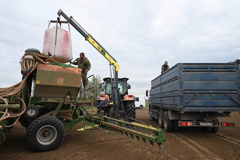 Для сева озимых под урожай 2026 года использовали семена засухоустойчивых сортов зерна.