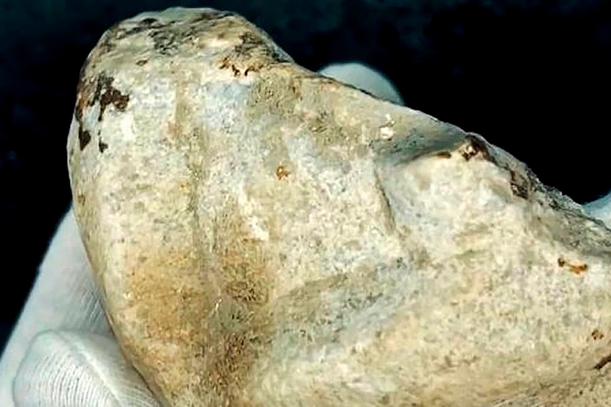 На фрагменте видны остатки резного орнамента, похожие на ремни обуви. Возможно, это была статуя.