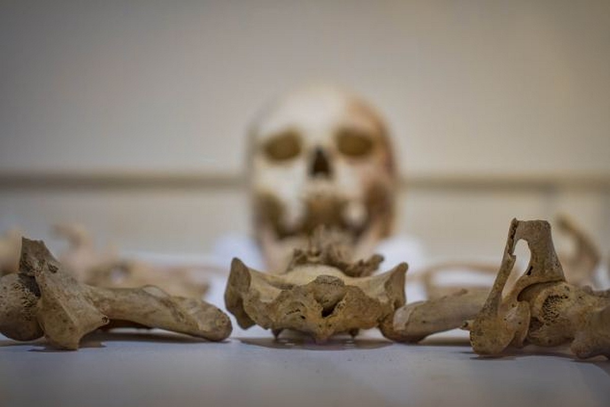 Полный скелет Леди из Бичи-Хеда впервые выставлен на всеобщее обозрение в музее городского совета Истборна.