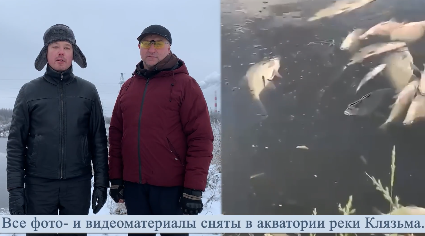 Владимирские рыбаки констатируют: на реке Клязьме происходит экологическая катастрофа. Владимирские рыбаки констатируют: на реке Клязьме происходит экологическая катастрофа.