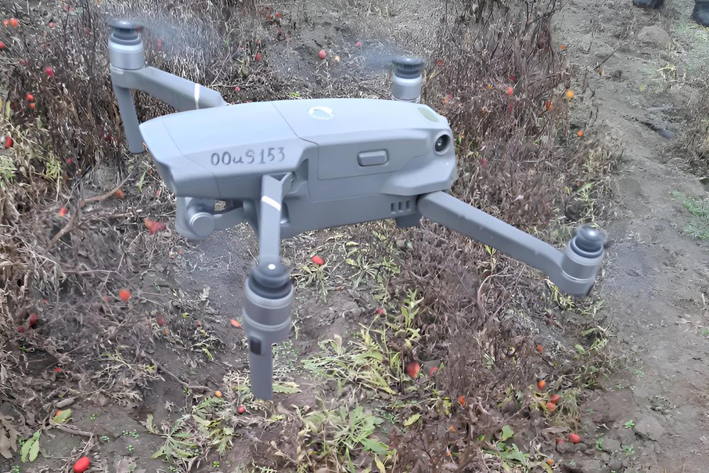 Квадрокоптер значительно ускоряет мониторинг сельхозполей и повышает точность обнаружения очагов заражения.