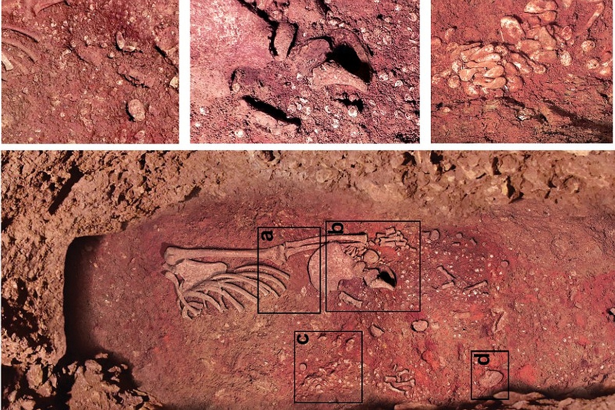 В могильной яме, щедро засыпанной охрой (именно она дает кроваво-красный цвет), был найден скелет ребенка, возрастом 11-12 лет.