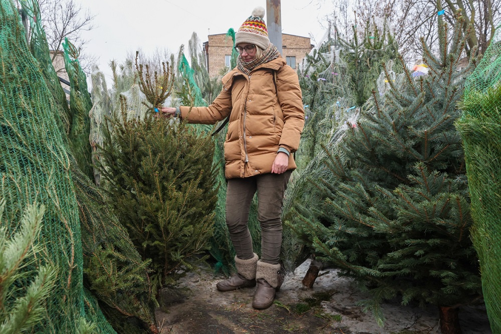 Спрос на срубленные деревья снижается, но любителей натуральных елей и сосен еще немало.