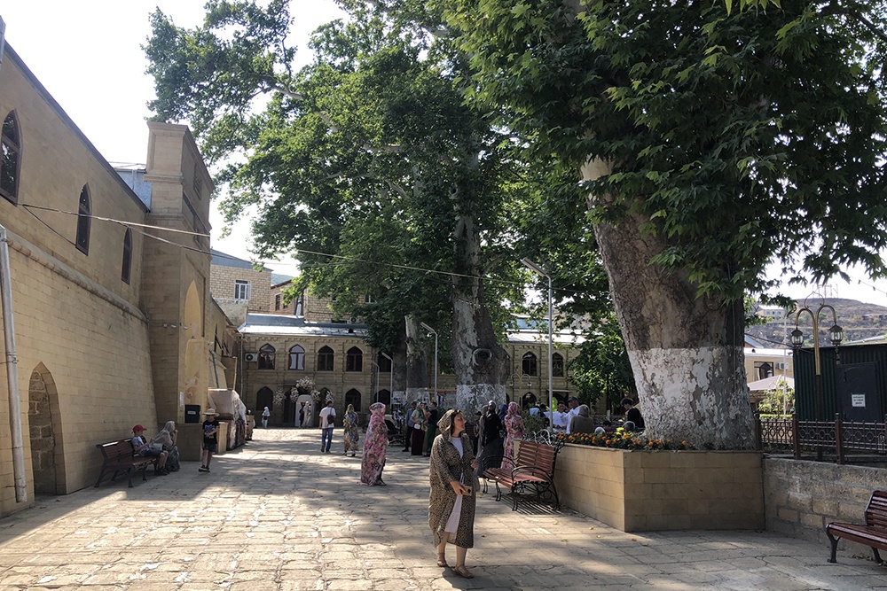 Платанам у Джума-мечети в Дербенте около 300 лет, в высоту они достигают 35 метров.