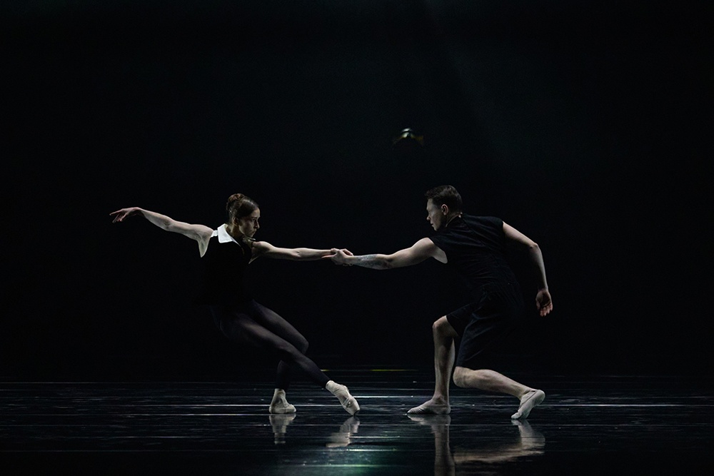 Елена Воробьева и Александр Меркушев словно углем вычерчивают траекторию каждой комбинации.