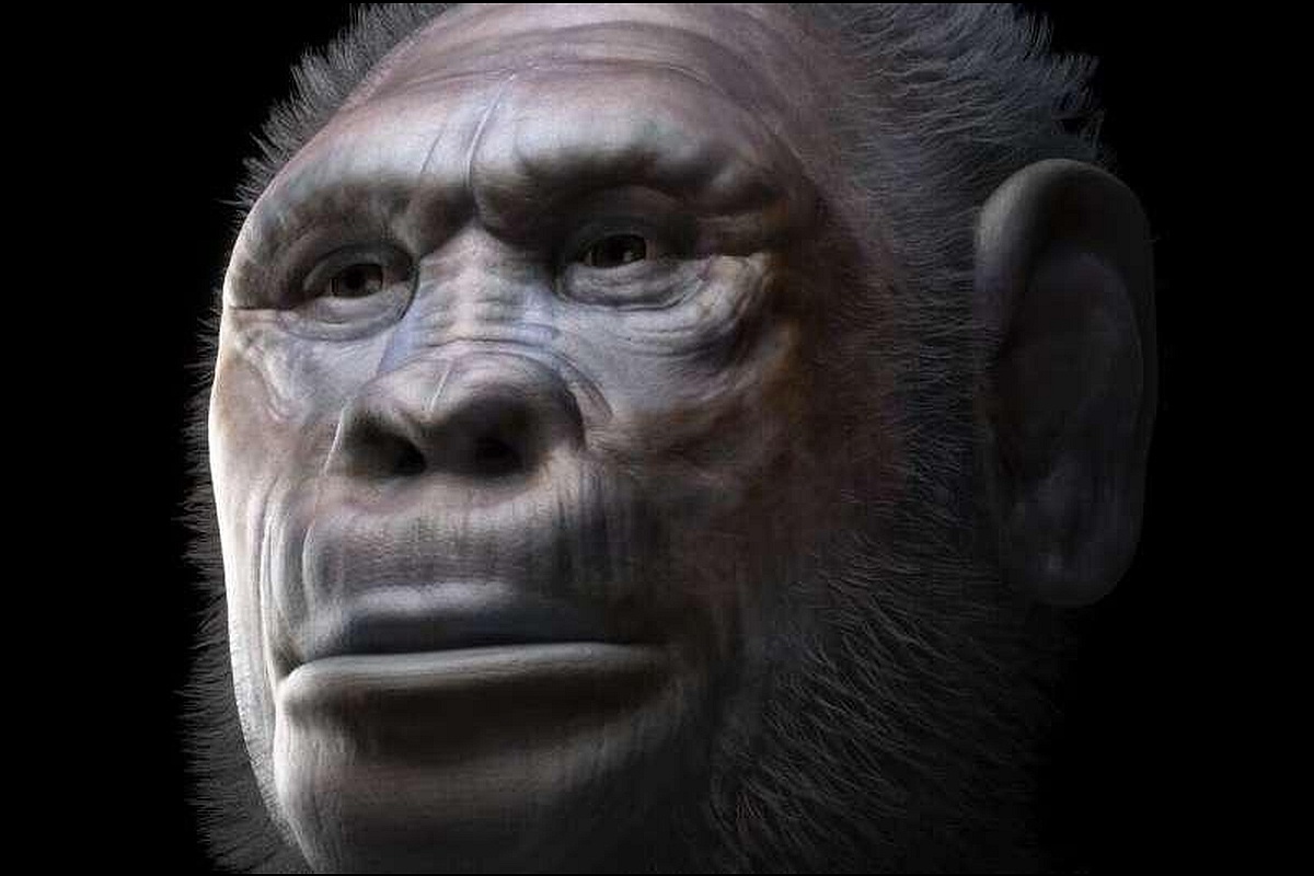 Реконструкция лица мужчины вида вида Homo georgicus.