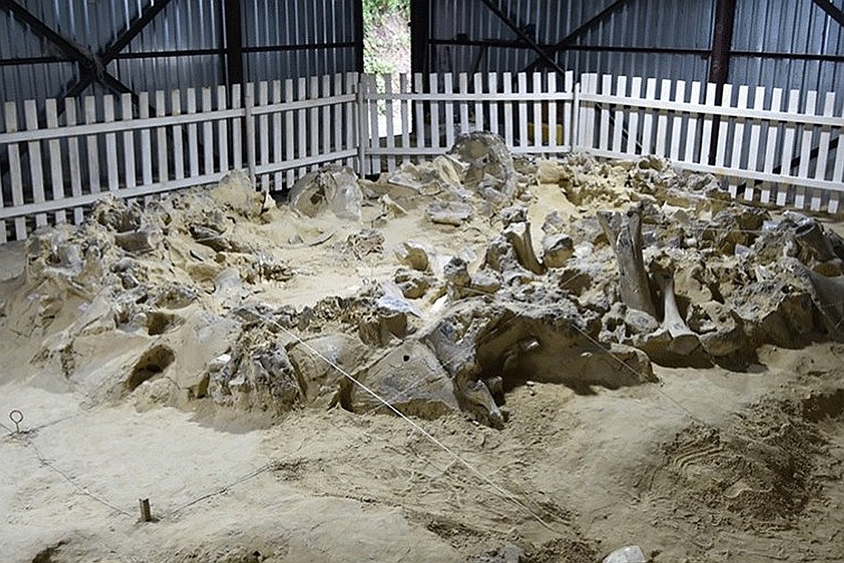 Четыре округлых конструкции из костей и бивней мамонта археологи раскопали еще во времена СССР. 