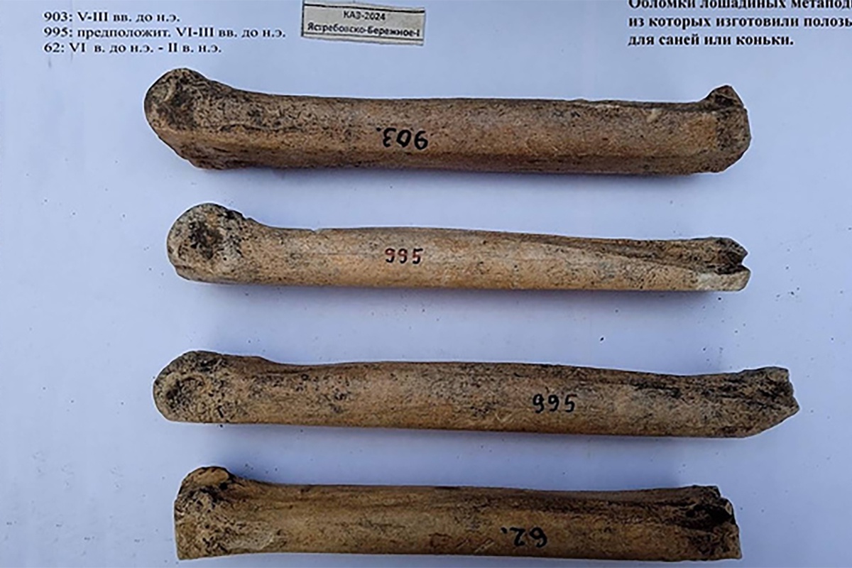 Эти "коньки" позволяли жителям поселений быстро и эффективно добираться до противоположного берега. 