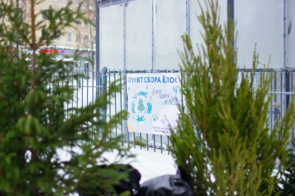 В Петербурге ставшие ненужными настоящие елки можно будет сдать на благое дело. 