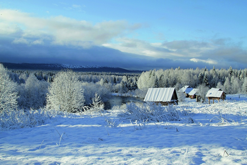 Письма из заповедника: День за днем